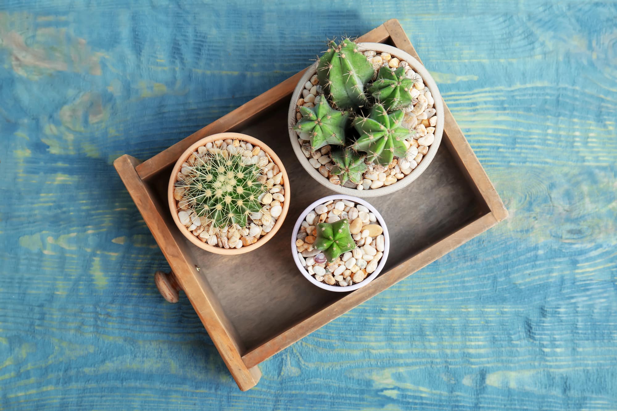 Upcycled Wooden Bowl Planters